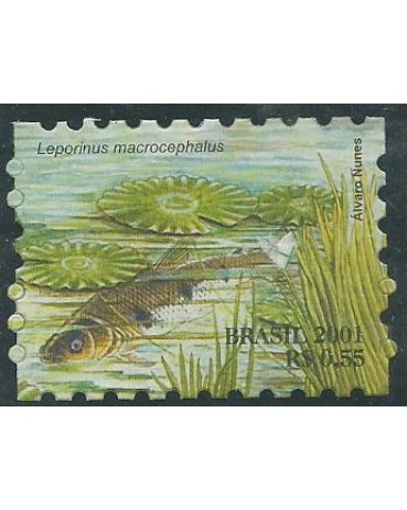 C2425 PANTANAL PIAU 2001 - COLADO NO PROTETOR 10.474 Novo